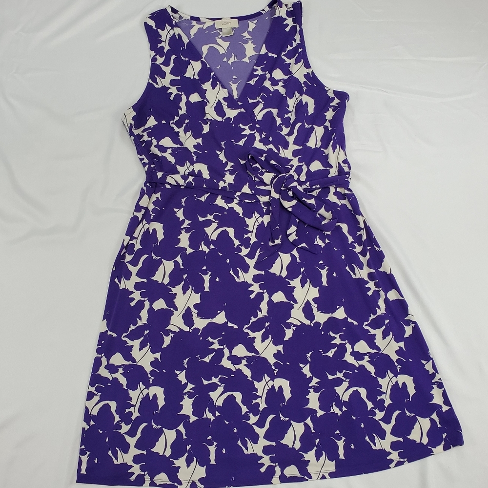 Ann Taylor LOFT Belted Sleeveless Dress